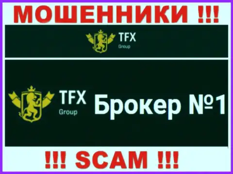 Не советуем доверять финансовые вложения TFX Group, потому что их область деятельности, ФОРЕКС, ловушка