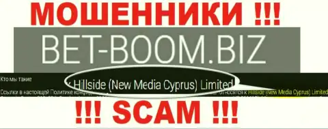 Юридическим лицом, владеющим internet ворюгами Bet-Boom Biz, является Хиллсиде (Нью Медиа Кипр) Лтд