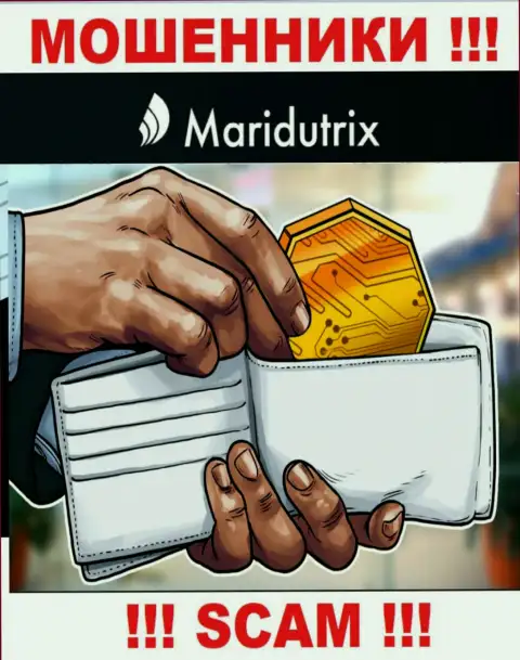 Крипто-кошелек - конкретно в указанной области орудуют циничные лохотронщики Maridutrix