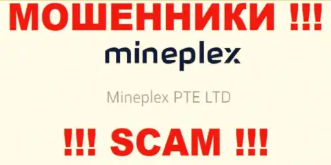 Руководителями МайнПлекс является организация - Mineplex PTE LTD