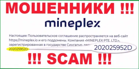 Рег. номер еще одной противозаконно действующей компании MinePlex Io - 202025952D
