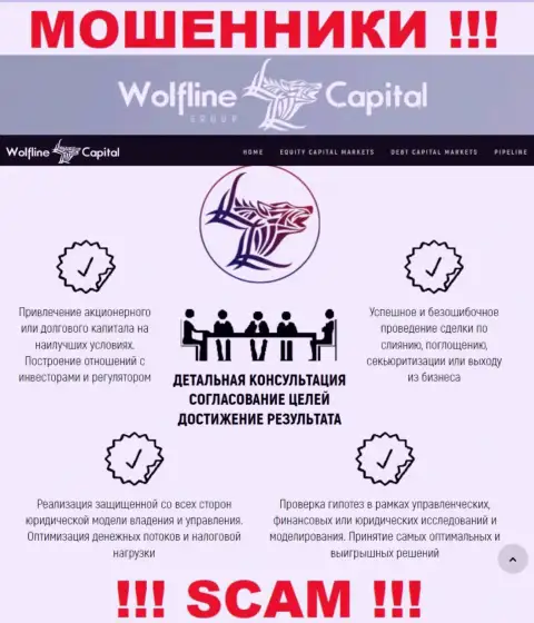 Не верьте, что область работы Wolfline Capital - Финансовый консалтинг легальна - это обман