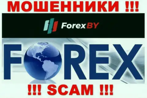 Будьте крайне бдительны, сфера деятельности Forex BY, ФОРЕКС - это обман !