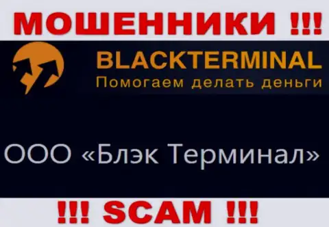 На официальном онлайн-ресурсе Black Terminal написано, что юридическое лицо конторы - ООО Блэк Терминал