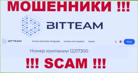 Номер регистрации, который присвоен организации BitTeam - 12217300