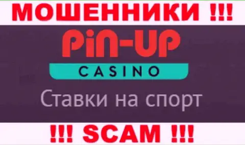 Основная деятельность Pin Up Casino - это Казино, будьте очень осторожны, промышляют неправомерно