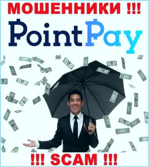 Не угодите в капкан интернет-воров PointPay Io, вложенные денежные средства не увидите