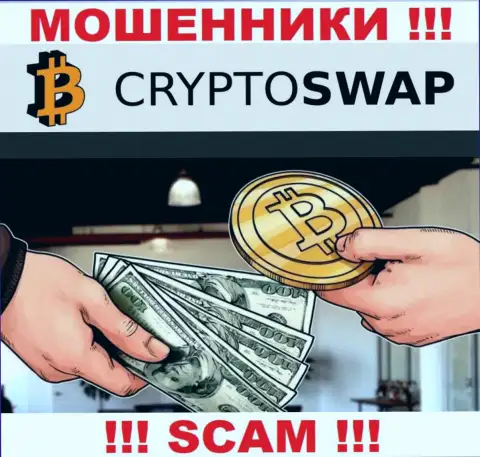 Крайне опасно доверять Crypto Swap Net, оказывающим услугу в сфере Крипто обменник
