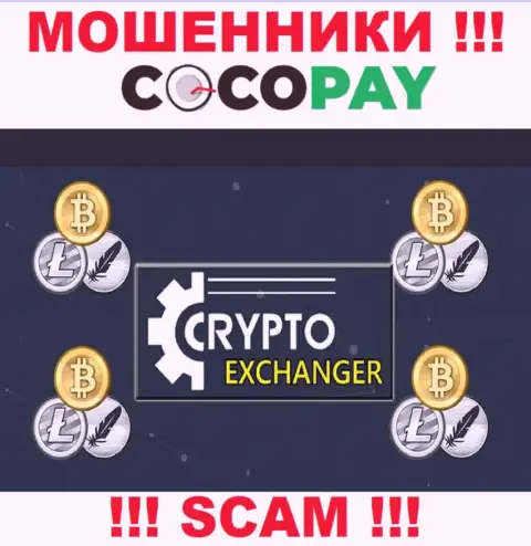 Coco-Pay Com - это типичные интернет мошенники, сфера деятельности которых - Онлайн-обменник