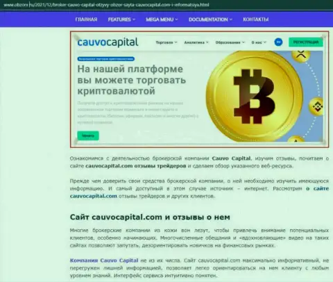 О положительных сторонах forex-дилинговой компании Cauvo Capital на онлайн-сервисе obzorx ru