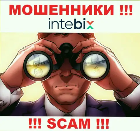 Intebix раскручивают доверчивых людей на финансовые средства - будьте осторожны общаясь с ними