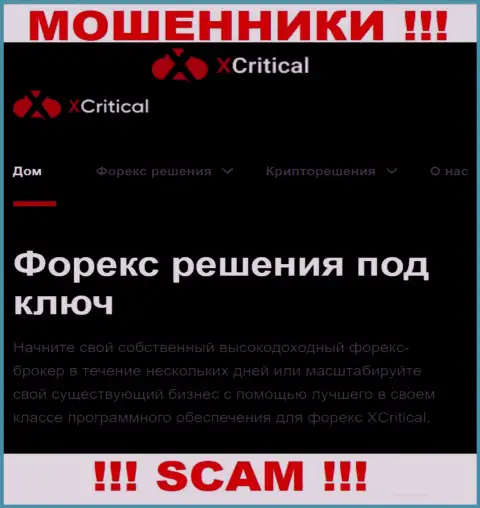 XCritical Com - это подозрительная организация, род работы которой - Forex