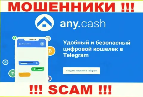 Any Cash - internet мошенники, их работа - Крипто кошелёк, направлена на слив денежных активов людей