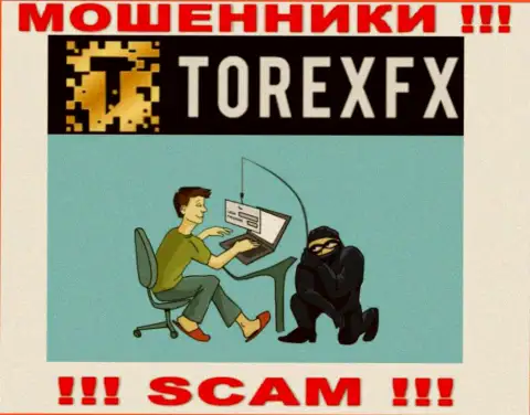 Мошенники TorexFX Com могут попытаться раскрутить Вас на финансовые средства, только знайте - это довольно-таки опасно