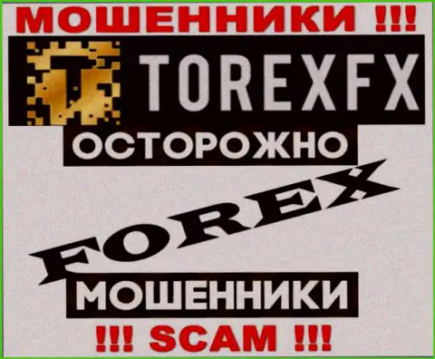 Род деятельности TorexFX: ФОРЕКС - хороший заработок для интернет обманщиков