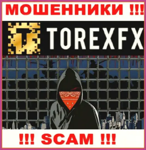 TorexFX Com скрывают информацию о Администрации компании