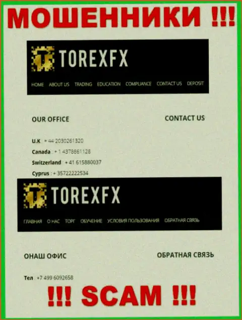 В запасе у лохотронщиков из TorexFX Com имеется не один номер телефона